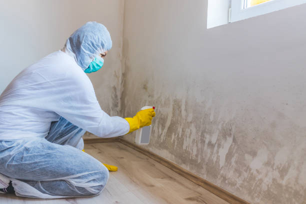 Mold Remediation specialist working in West Orange